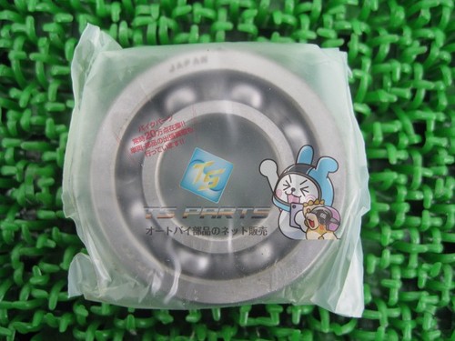 R250 transmission bearing - tt-r250,
