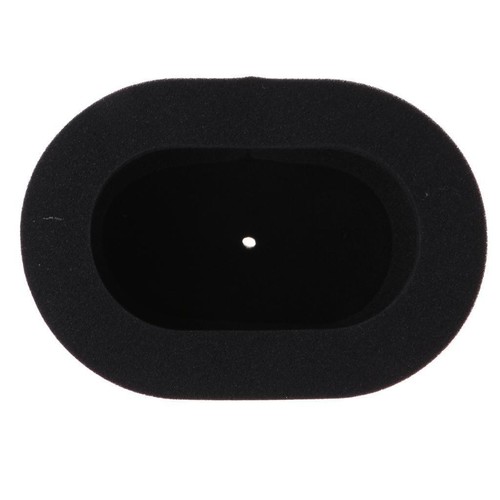 Air filter cleaner - air, sponge